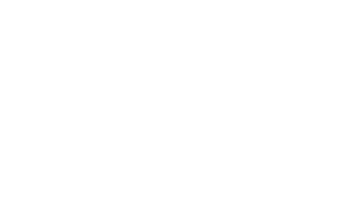 Liv