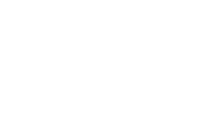 Batavus