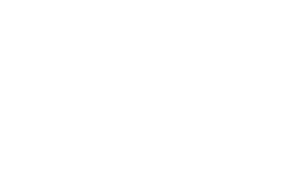 Specialized