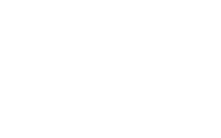 Van Raam