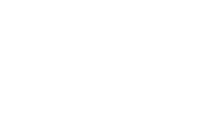 Van Raam